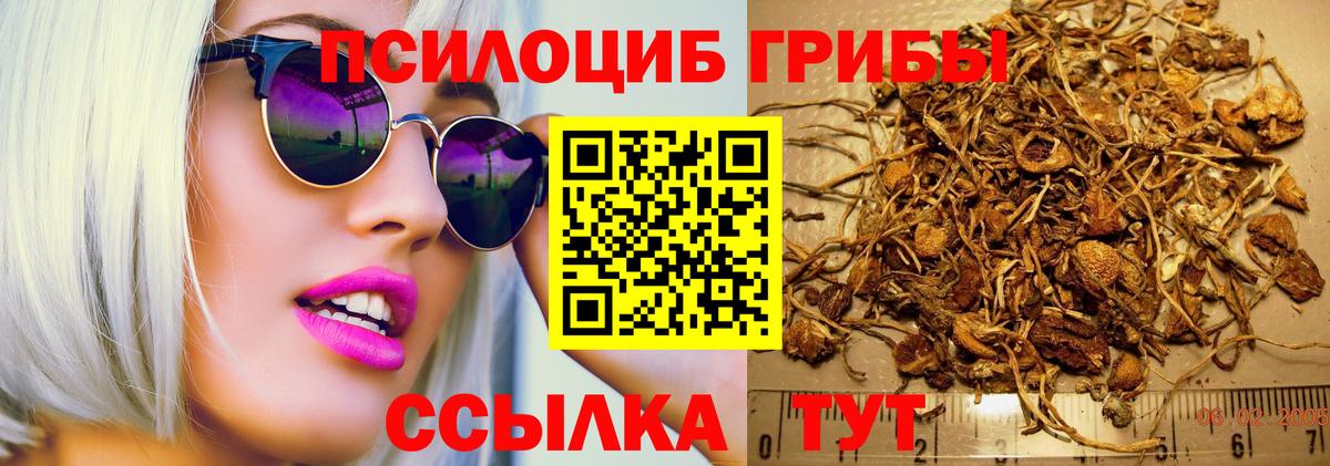 Галлюциногенные грибы Psilocybine cubensis Ростов-на-Дону